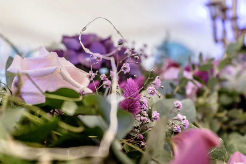 Fleurs parme violet (Cérémonie laïque d'Amélie et Antoine)
