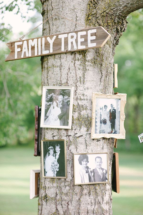 Arbre généalogique cérémonie laïque mariage