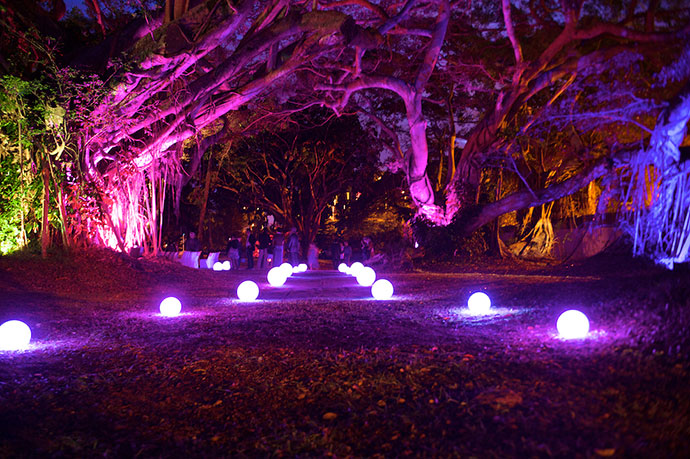 Allée décorée pour une cérémonie laïque de nuit